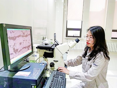 会当水击三千里 会当水击三千里